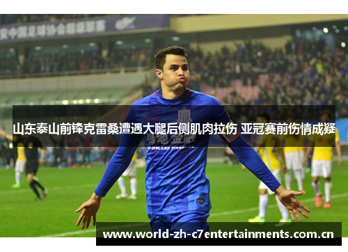 山东泰山前锋克雷桑遭遇大腿后侧肌肉拉伤 亚冠赛前伤情成疑